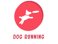 Dog Running